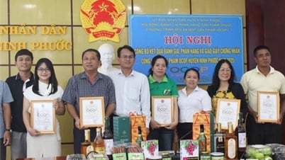 นิงห์เฟือก: ประกาศและมอบใบรับรองผลิตภัณฑ์ OCOP ในระดับเขตในปี 2568