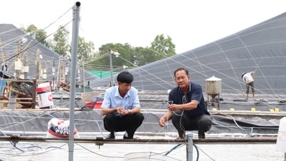 10.626 hộ nông dân đăng ký sản xuất, kinh doanh giỏi