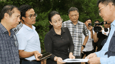 Urgent measures to overcome landslides at Nguyen Dynasty relics in Hai Van Pass