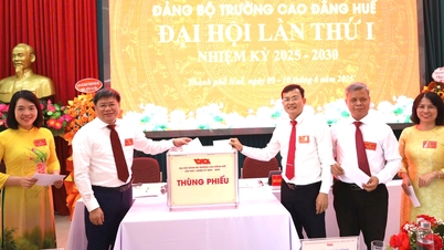 ខិតខំ​ក្លាយ​ជា​អង្គភាព​រឹងមាំ​ក្នុង​វិស័យ​អប់រំ និង​បណ្តុះបណ្តាល
