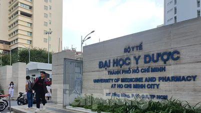 Đại học Y Dược TPHCM có 3 'trường con' trực thuộc