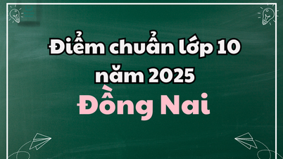 ពិន្ទុគោលថ្នាក់ទី 10 ឆ្នាំ 2025 នៅ Dong Nai