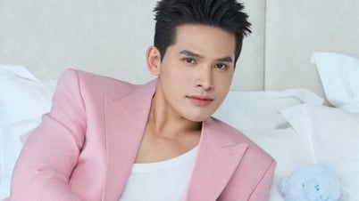 Sänger Quoc Thien wegen Urheberrechtsverletzung am Song „Nameless Love“ angeklagt
