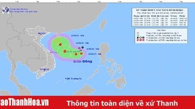 Áp thấp nhiệt đới trên Biển Đông, cách quần đảo Hoàng Sa khoảng 360km