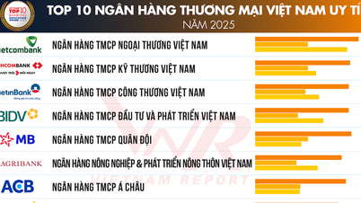 Top 10 Ngân hàng thương mại Việt Nam uy tín năm 2025