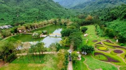Yang Bay - hơi thở thiên nhiên giữa đại ngàn