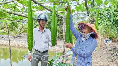 Hỗ trợ chị em làm kinh tế