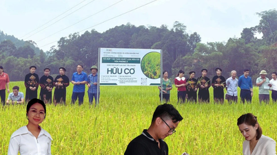 Xây dựng các sản phẩm chủ lực, tạo đà cho nông nghiệp hàng hóa - Bài 3