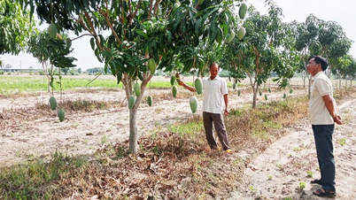 A shining example of overcoming difficulties to become rich in Uar commune