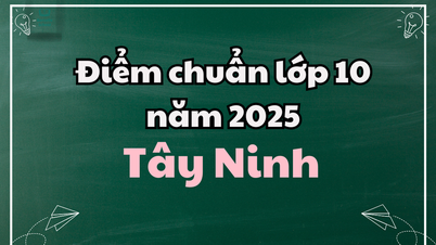 Результаты тестов за 10 класс в 2025 году в Тайнине