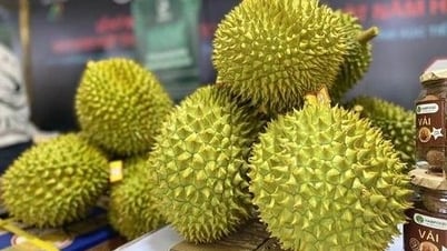 Để ngành Nông nghiệp phát triển bền vững