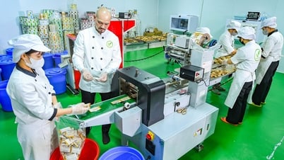 Laissez les entreprises privées accélérer - Partie 2 : De grandes opportunités