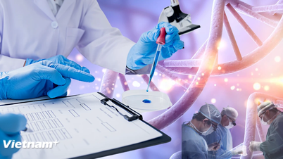 Italien leistet Pionierarbeit bei der Gentherapie zur Behandlung seltener genetischer Blutkrankheiten