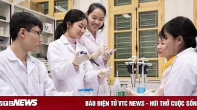 Các trường Y Dược top đầu đồng loạt tuyển thí sinh giỏi tiếng Anh