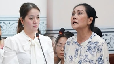 Sắp xét xử phúc thẩm vụ tranh chấp thừa kế của cố NSƯT Vũ Linh