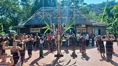 Độc đáo lễ hội mừng lúa mới của đồng bào Cơ Tu