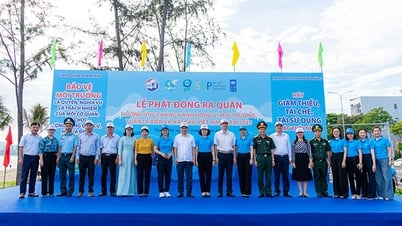 Chung tay vì một Đà Nẵng xanh - sạch - đẹp