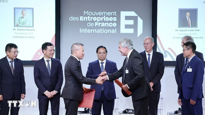 FPT wird globaler strategischer Technologiepartner von Airbus
