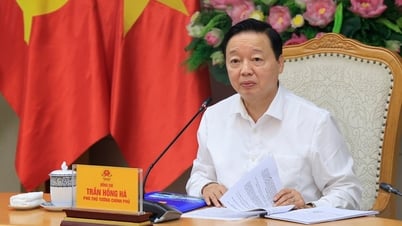 Doanh nghiệp là 'hạt nhân' trong xây dựng Trung tâm liên kết nông nghiệp vùng ĐBSCL