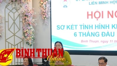 Hội nghị sơ kết tình hình kinh tế tập thể 6 tháng đầu năm 2025