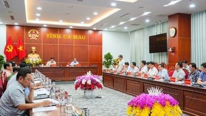 Cà Mau giao ban chỉ đạo giải ngân vốn đầu tư công 2 tuần/lần
