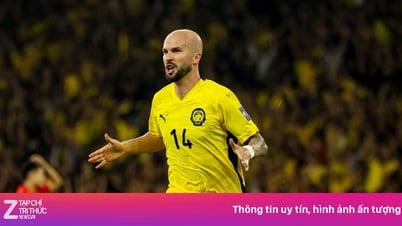Tuyển Malaysia thắng Việt Nam nhờ nhập tịch hiệu quả