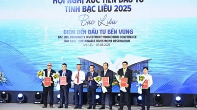 Investment promotion program 2025: Continue to invite investment into the "5 pillars" of socio-economic development