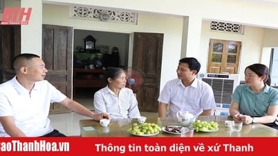 Tập trung giải quyết khiếu nại, tố cáo, kiến nghị, phản ánh