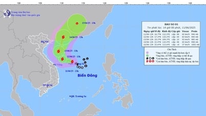 Bão số 1 di chuyển theo hướng tây tây bắc, gây mưa lớn tại Trung Trung Bộ, bắc Tây Nguyên