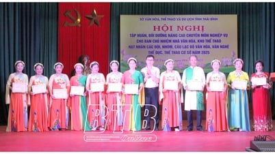 260 grassroots cultural nuclei were trained in performing arts skills and sports training.