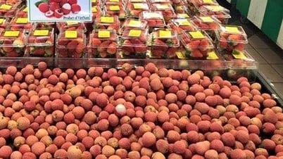Bảo hộ nhãn hiệu ở nước ngoài - Cần khai thác hệ thống công cụ bảo hộ