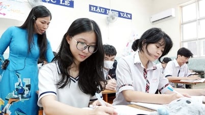 Phương án sáp nhập sở GD-ĐT TP.HCM, Bình Dương, Bà Rịa-Vũng Tàu