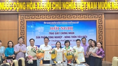 Tam Ky compte 11 produits industriels ruraux typiques en 2025