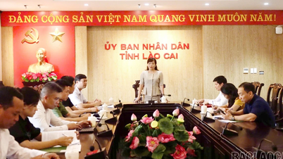 Tổng kết công tác tổ chức Hội chợ Du lịch quốc tế Lào Cai