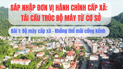 การผนวกรวมหน่วยงานบริหารระดับตำบล การปรับโครงสร้างหน่วยงานจากระดับรากหญ้า: ตอนที่ 1 - หน่วยงานระดับตำบล - ไม่สามารถคงความยุ่งยากไว้ได้ตลอดไป