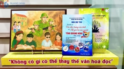 Đã tìm được Đại sứ Văn hóa đọc tỉnh Quảng Ninh năm 2025