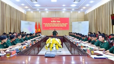 Ministry of National Defense inspects the implementation of military and defense tasks and reorganizes local military agencies in Nghe An