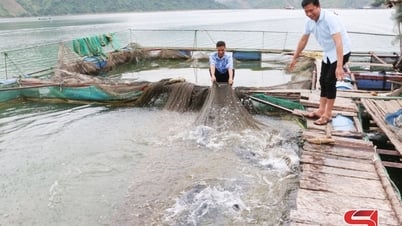 Đồng hành cùng nông dân phát triển kinh tế