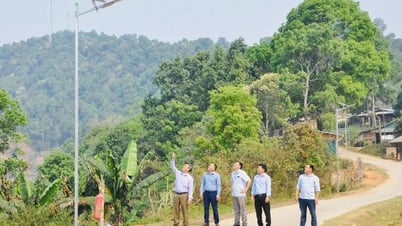 옌바이, 2025년까지 경제적이고 효율적인 에너지 사용 프로그램 동시 전개