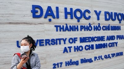 Pourquoi l'Université de médecine et de pharmacie de Hô-Chi-Minh-Ville a-t-elle créé trois autres écoles « filiales » ?