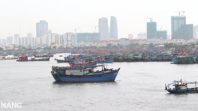 Đà Nẵng ban hành công điện ứng phó bão số 1 và mưa lớn