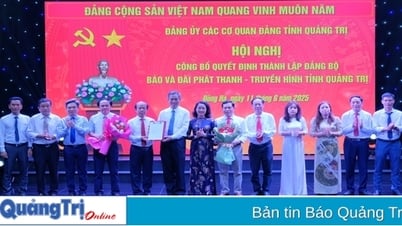 Công bố quyết định thành lập Đảng bộ Báo và Đài Phát thanh - Truyền hình tỉnh Quảng Trị