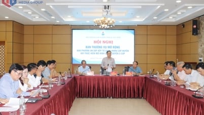 Bàn phương án sắp xếp tổ chức hội, hiệp hội doanh nghiệp cấp huyện khi vận hành chính quyền 2 cấp