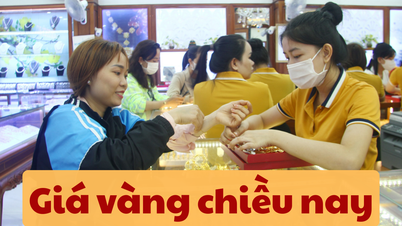 Giá vàng chiều nay 11/6/2025 trong nước và thế giới tăng sát mức 119 triệu