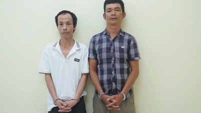 Bắt 2 người đăng tin xuyên tạc về nguyên Giám đốc Công an TP.HCM Lê Hồng Nam