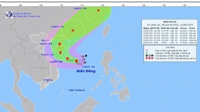 Áp thấp nhiệt đới mạnh lên thành cơn bão đầu tiên của năm 2025