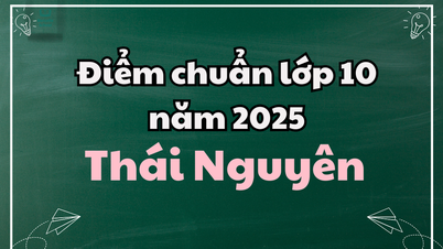 Контрольные баллы за 10-й класс в 2025 году в Тай Нгуен