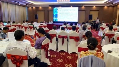 Quảng Nam tham vấn hỗ trợ người khuyết tật phòng chống thiên tai
