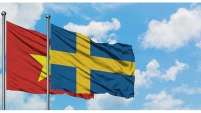 Vietnam – Schweden: Die Wirtschafts- und Handelsbeziehungen werden ständig gestärkt und ausgebaut.