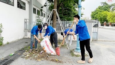 Nỗ lực giảm thiểu ô nhiễm môi trường từ rác thải nhựa